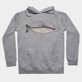 Iridescent Shark Hoodie